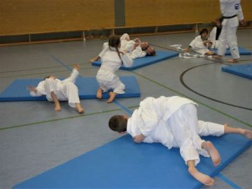 Judoprojekt
